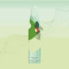 Janssen Cosmetics Intense Ampoules - Image 3